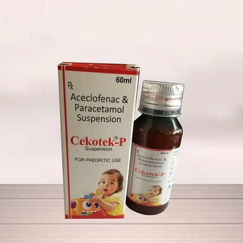CEKOTEK-P Suspension