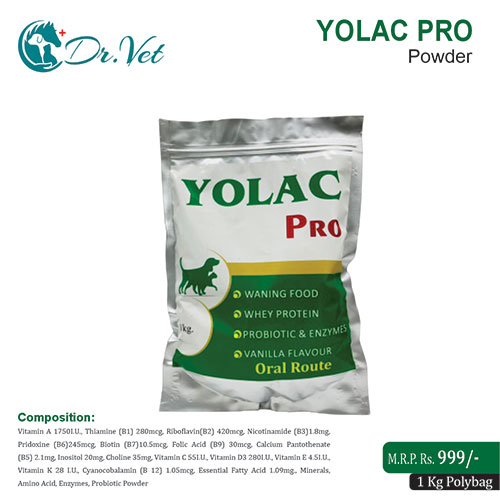 YOLAC PRO POWDER (Polybag)