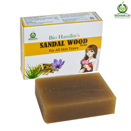 BIOHAMLLIN SANDAL ALOEVERA KESA Soap
