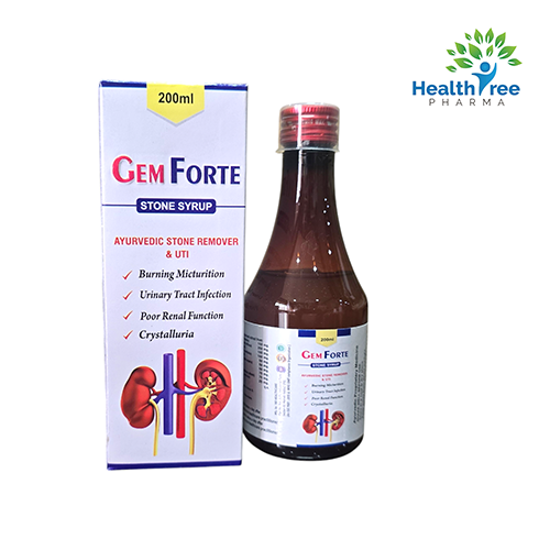 GEM FORTE SUSPENSION