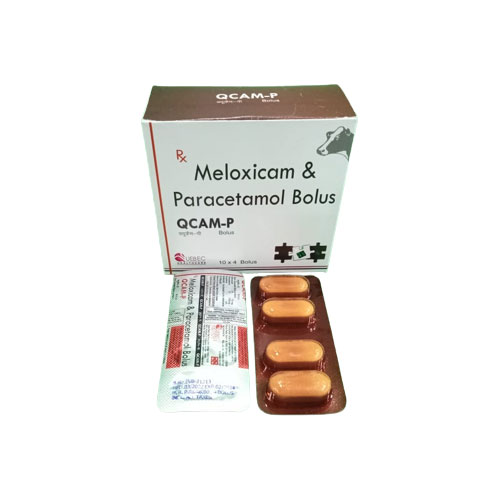 QCAM – P BOLUS