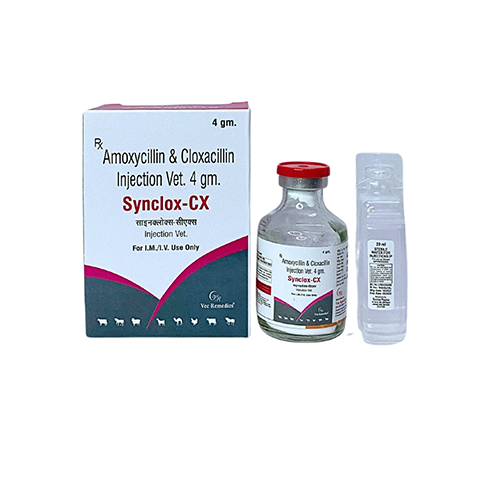 SYNCLOX-CX INJECTION (4GM)