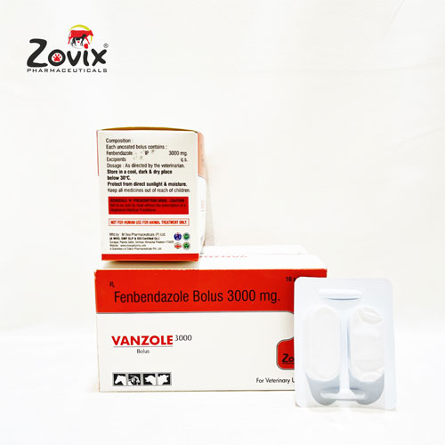VANZOLE-3000 Bolus