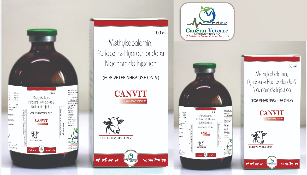 Methylcobalamin veterinary injection in Third Party Maufacturing