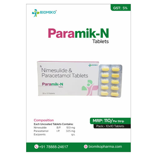 PARAMIK - N 