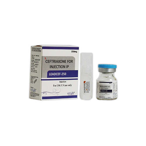 LEADCEF-250 Injection