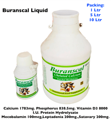 Buranscal Oral Suspension