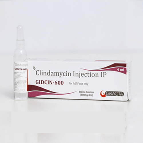 GIDCIN-600 INJECTION
