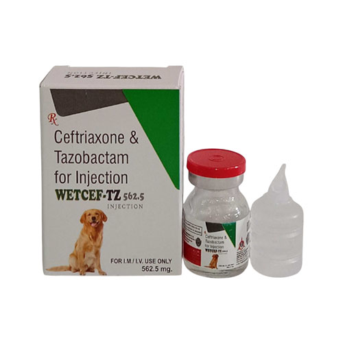 WETCEF-TZ 562.5 INJECTION