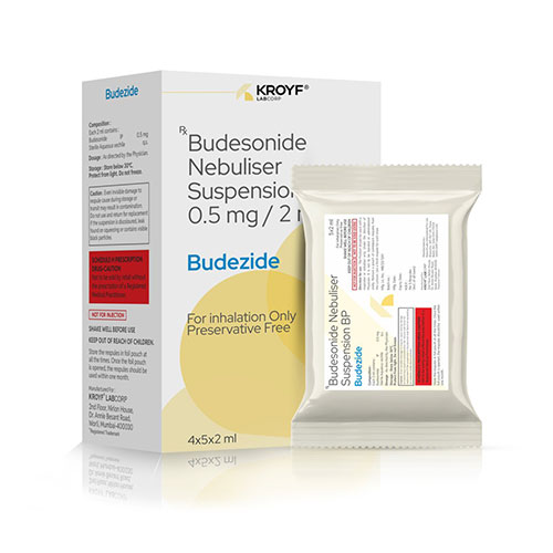 Budezide Suspension