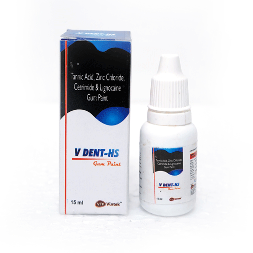 V-DENT HS Gum Paint