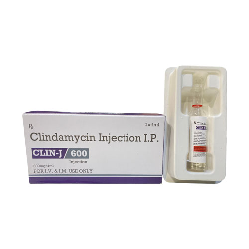 CLIN-J 600 INJECTION