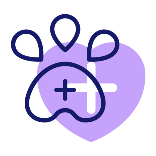 Ciprofloxacin Bolus IP