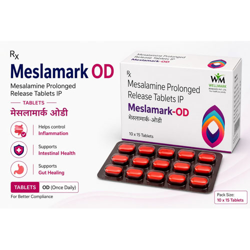 Meslamark OD Tablets
