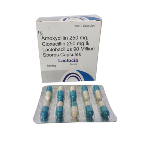 Lactocib Capsules