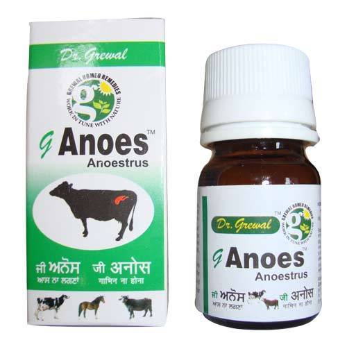 G Anoes (Anoestrus & Suboestrus)