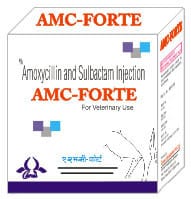 AMC Forte Injection
