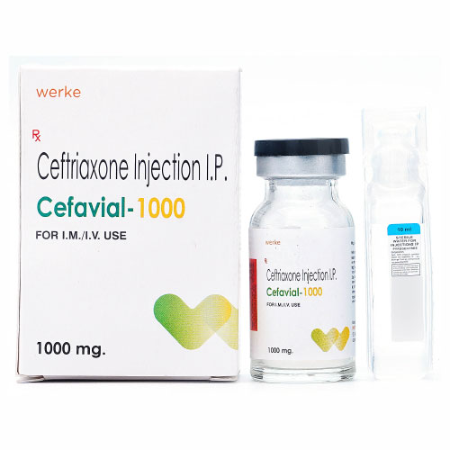 CEFAVIAL 1000 Injection