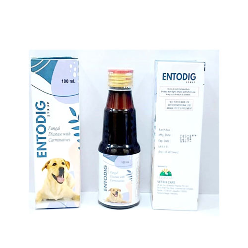 ENTODIG Syrup