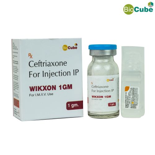 WIKXON-1gm Injection