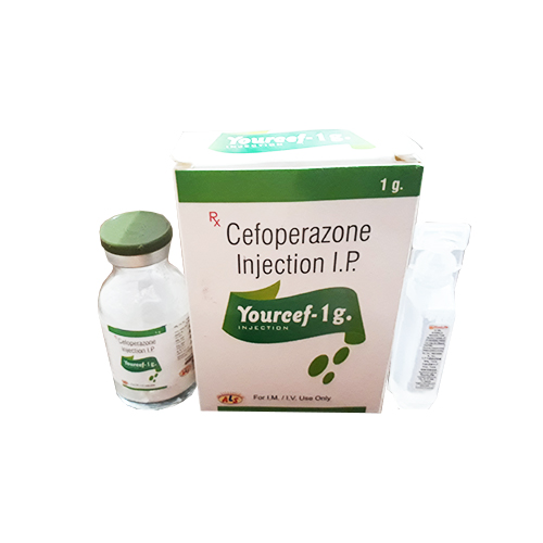 YOURCEF-1 GM Injection