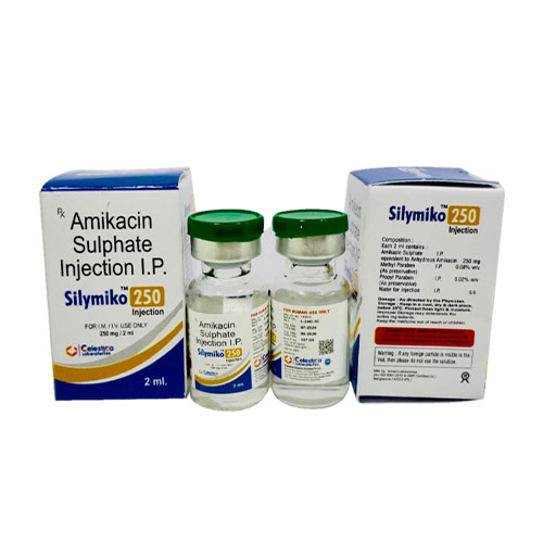 SILYMIKO-250 INJECTION