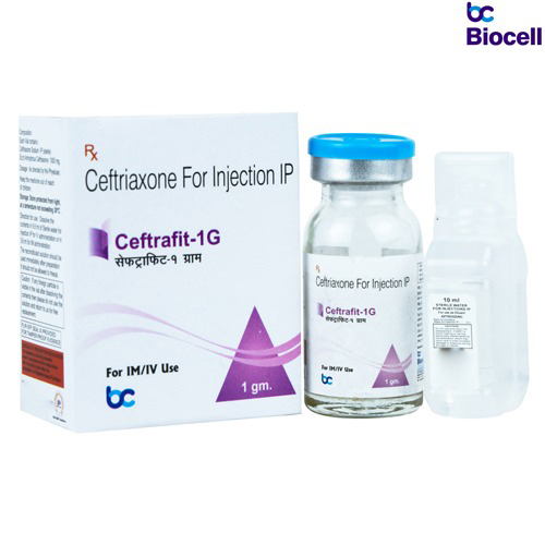 CEFTRAFIT-1GM Injection