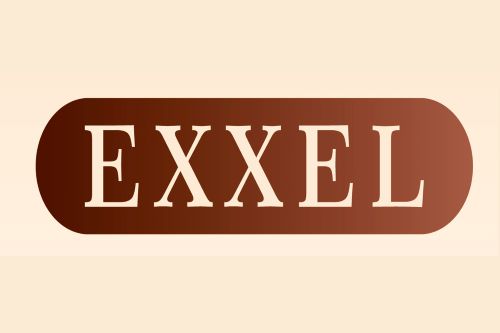 Exxel Protein Powder (chocolate flavor)