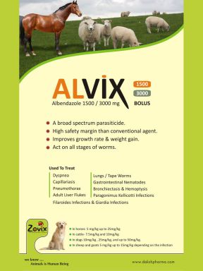 ALVIX-500 Bolus