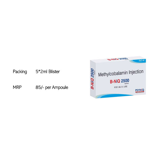 B-NIQ 2500 Injection