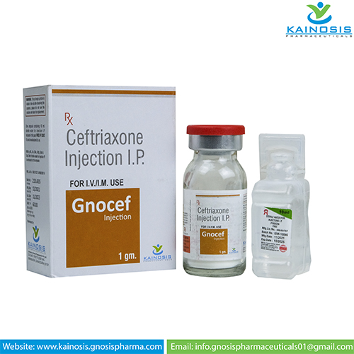 GNOCEF-1gm Injection