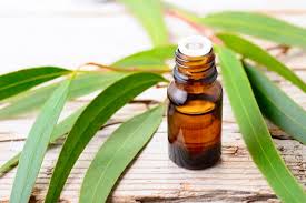 Eucalyptus Oil Frankincense Oil