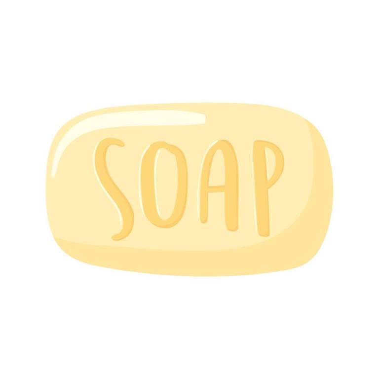NEEMKLIN SOAP 75GM