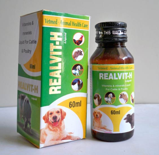 REALVIT-H Syrup