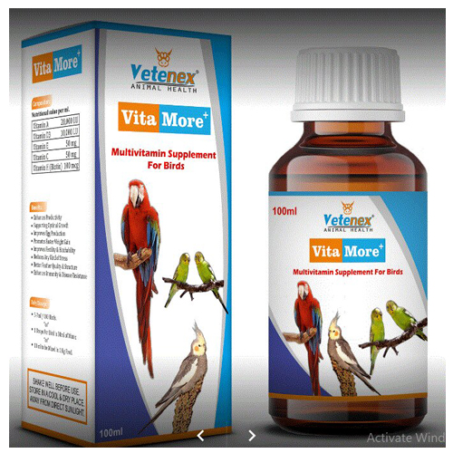 Vitamore Syrup