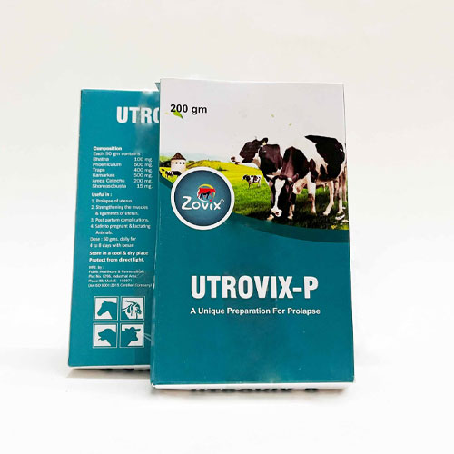 UTROVIX-P Powder