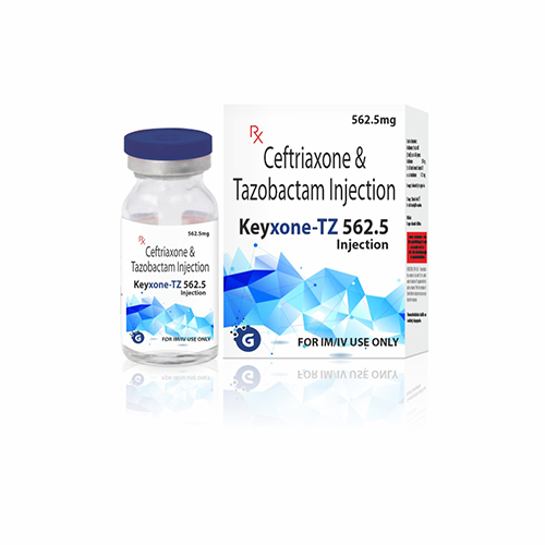 KEYXONE-TZ 562.5 INJECTION