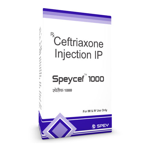 SPEYCEF 1000 INJECTION