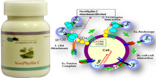 NoviPhyllin-C Tablets