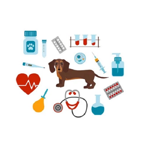 Ampicillin 2.5mg/3mg/4mg Injection IP (For Veterinary Use)
