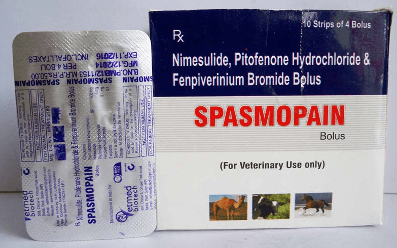 SPASMOPAIN Bolus