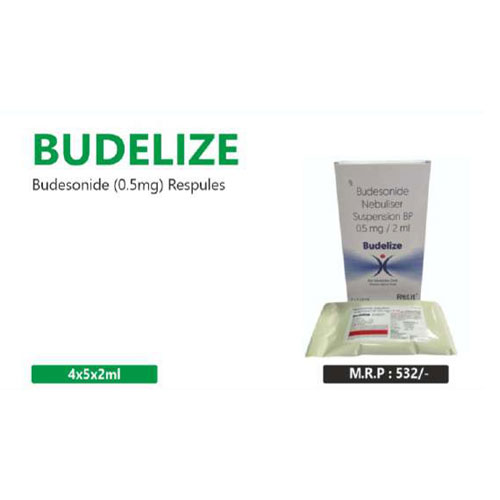 BUDELIZE RESPULES