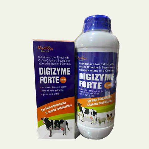 DIGIZYME FORTE SYRUP