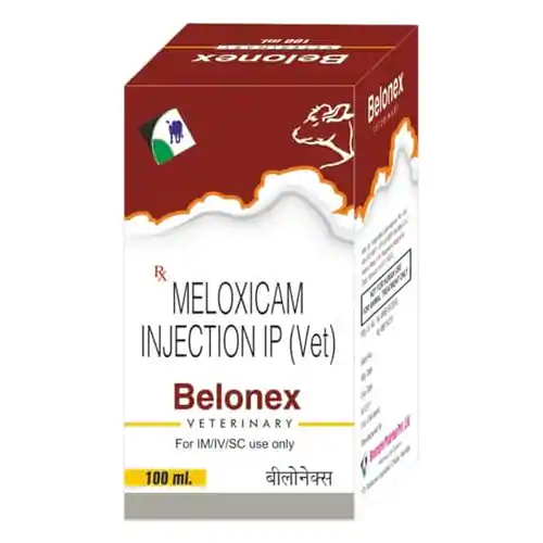 Meloxicam Injection