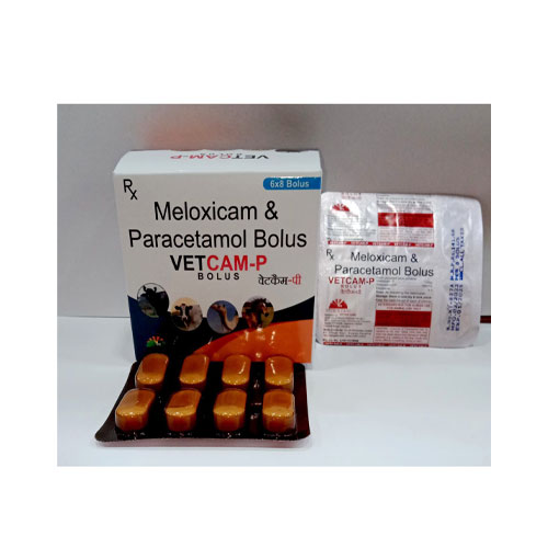 VETCAM-P Bolus