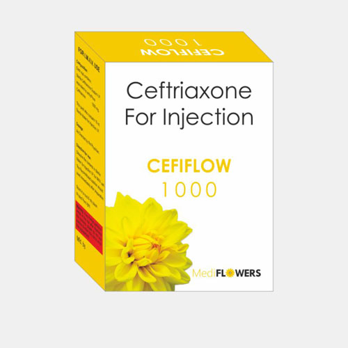 CEFIFLOW-1GM Injection
