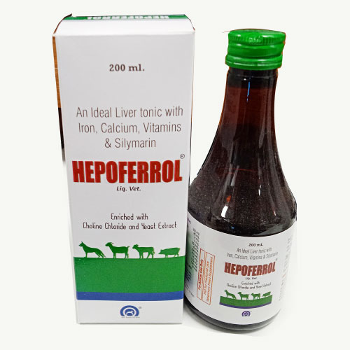 HEPOFERROL 200ml Syrup