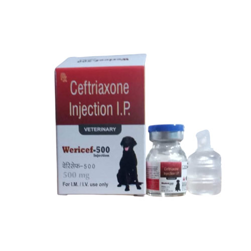 WERICEF-500 INJECTION