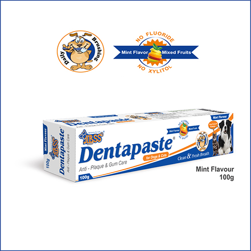 JIBSS Dentapaste – Mint Flavour – 100gm