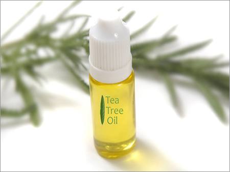 Tea Tree Oil